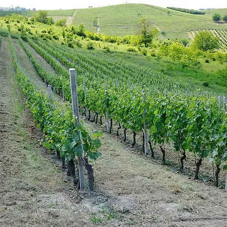 Apartamento Da Elvira