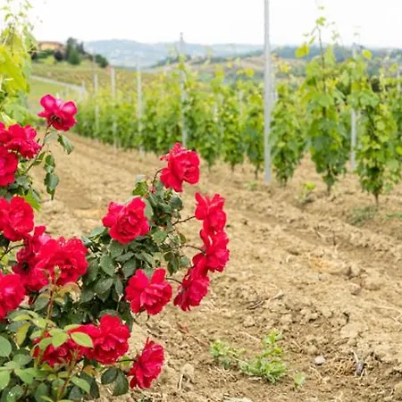 Da Elvira Apartamento *