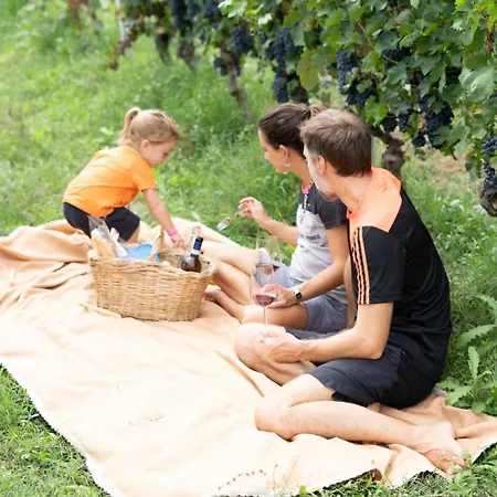 Da Elvira * كوستيليولي دستي